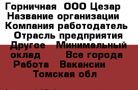 Горничная. ООО Цезар › Название организации ­ Компания-работодатель › Отрасль предприятия ­ Другое › Минимальный оклад ­ 1 - Все города Работа » Вакансии   . Томская обл.